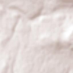 El Fuerte Terrain Map