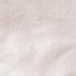 Zapote de Barajas Terrain Map