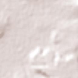 Loma Tendida Terrain Map