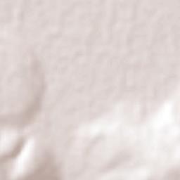 La Compañía Terrain Map