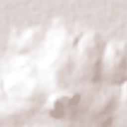 Hacienda de la Bolsa Terrain Map