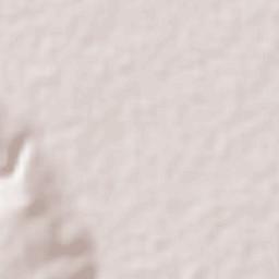 Jaral del Progreso Terrain Map