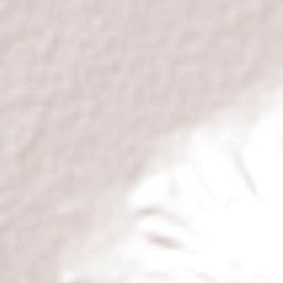 Providencia Terrain Map