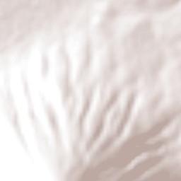 Cañada de Caracheo Terrain Map