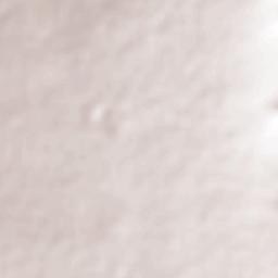 San Juan Bautista Cacalote Terrain Map