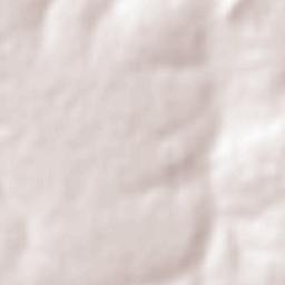 Tlaxcalilla Terrain Map