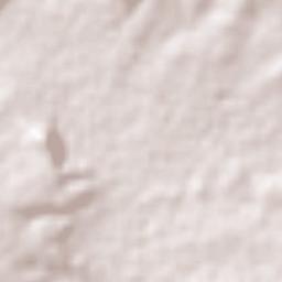 Patria Nueva Terrain Map