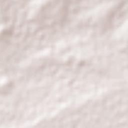 Santiago de Anaya Terrain Map