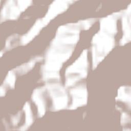 Tlacuilotepec Terrain Map