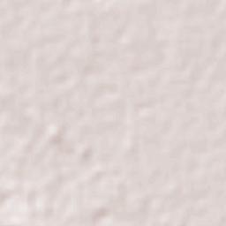 Pustunich Terrain Map