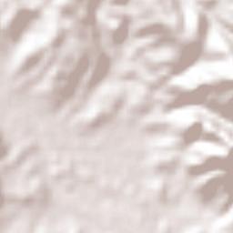 El Tuito Terrain Map