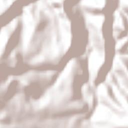 El Saucillo Terrain Map