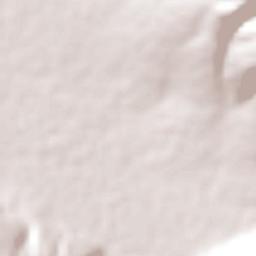 Zapotitán de Hidalgo Terrain Map