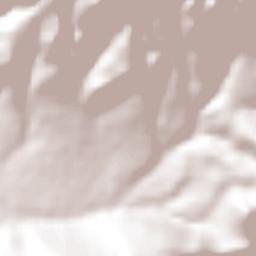 San Luciano Terrain Map