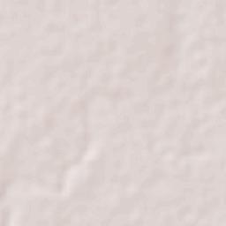 Pastor Ortíz Terrain Map