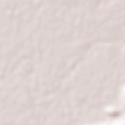 Héroes de Chapultepec (Rodeo de San Antonio) Terrain Map