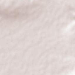 La Cuevita Terrain Map