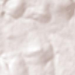 Palmillas Terrain Map