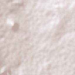 Lagunilla Terrain Map