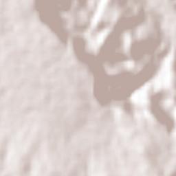 Los Sabinos Terrain Map