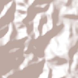 Xicotepec Terrain Map