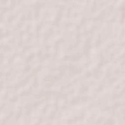 San Antonio Sahcabchén Terrain Map