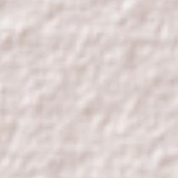 Santa Elena Terrain Map