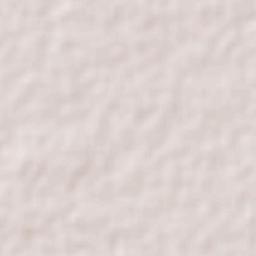 Chikindzonot Terrain Map