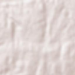 Manzanillo Terrain Map