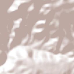 Ambrosio Terrain Map