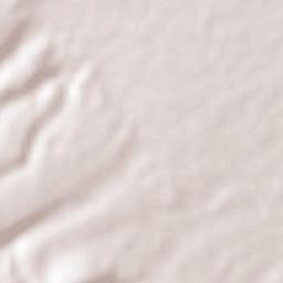 Barranca de Otates Terrain Map