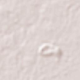 La Barca Terrain Map