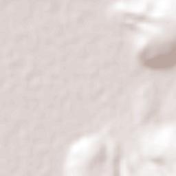 San José Huipana Terrain Map