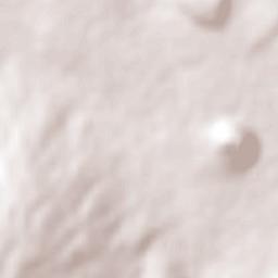 Jícamas Terrain Map