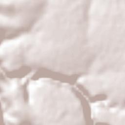 Santa Bárbara de La Cueva Terrain Map