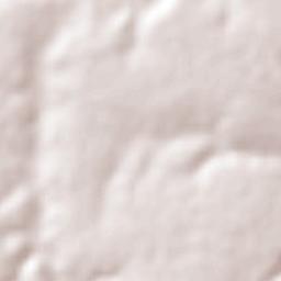 Llano Largo Terrain Map