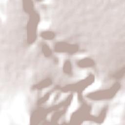 Xochitlán Terrain Map