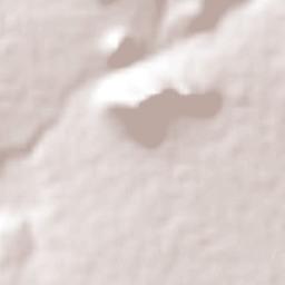 El Moreno (San Miguel Moreno) Terrain Map