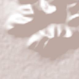 San José Boxay Terrain Map