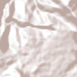 Xicotepec de Juárez Terrain Map