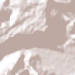 Coahuitlán Terrain Map