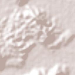 El Arenal Terrain Map