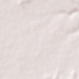 Janephal Terrain Map