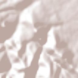 Barranca de los Laureles Terrain Map