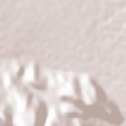 El Briseño Terrain Map