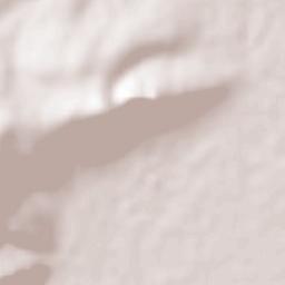 Potreros Terrain Map