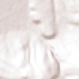 Isaac Arriaga (Santa Ana Mancera) Terrain Map