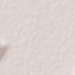 San Nicolás de los Agustinos Terrain Map