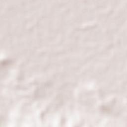 San Nicolás de la Condesa Terrain Map