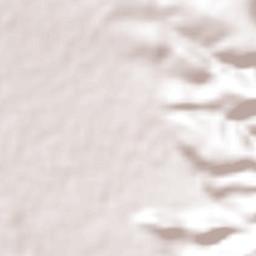 El Acebuche Terrain Map